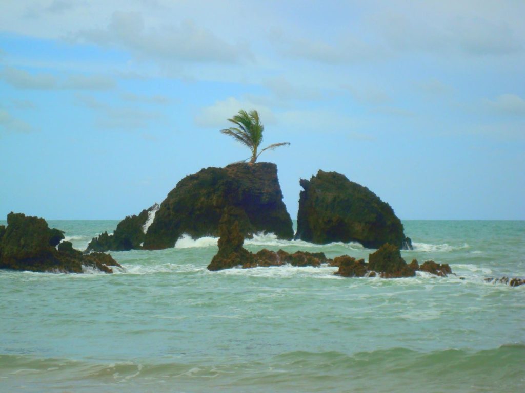 Praia De Tambaba E O Naturismo Em Tambaba Te Vejo Pelo Mundo